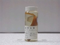 藏品(新鳚)的圖片